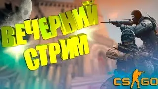 Стрим по CS:GO путь до звезды