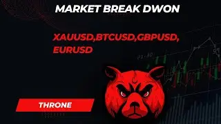 weekly market analysis
