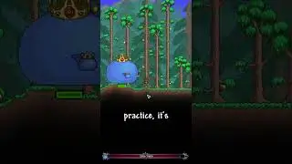 Terraria Expert Accessories Tier List. 