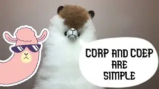 CORP and COEP are simple (with examples). Part 2