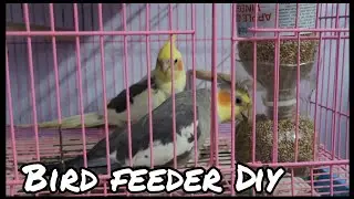 | Bird Feeder Diy | Easy Craft  |
