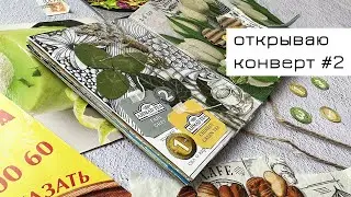 Конверт #2: открываю конверт и делаю коллаж