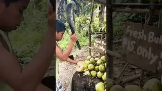Young Machete Maestro: Genius Coconut-Cutting Technique
