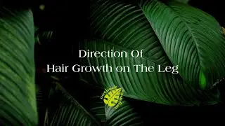 Direction Of Hair Growth On The Leg #hairremoval #waxtips #waxing #waxingtips