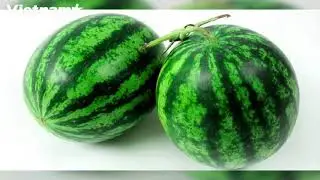 The meaning of Five-fruit tray during Tet and how to make it