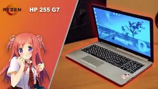 Тест которого не ждали. HP 255 G7. Что может Ryzen APU?