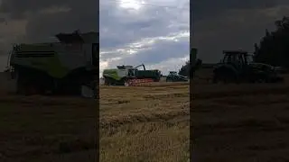 Правильная работа на разгрузке зерна #агроном #farming #зерно