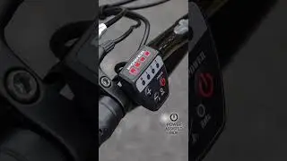 Zinc Eco Electric Bike