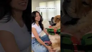 Mom Vs Dad *Our Pet’s Reactions*