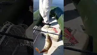 рыбалка на окуня  на севере!