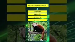 #викторина #эрудиция #знаниясила #проверьсвоизнания #тест