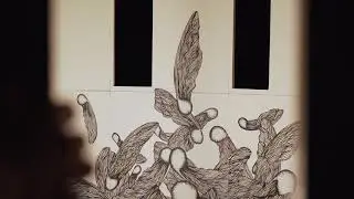 Luciole - Installation Artistique  -