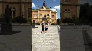 Из Белграда в Нови сад