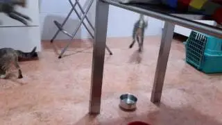 Enanos locos nos invaden!