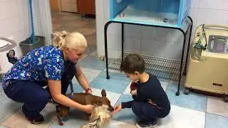 Экскурсия "Ветеринар"