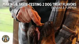 Making & Taste-Testing Dog Treats - Banana and Pumpkin Flavors