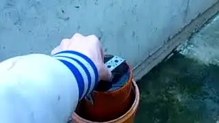 Кларий