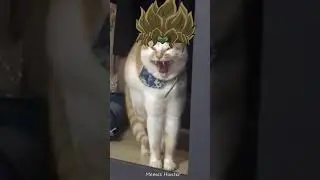 Wryyy 
