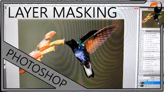 Nature Photography Workshop - Layer Masking.wmv