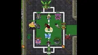 Como formou o time - Pokexgames