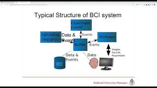 A quick intro to the Buffer BCI toolbox