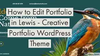 How to Edit Portfolio in Lewis - Creative Portfolio WordPress Theme