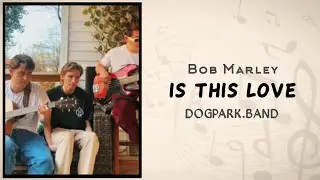 Bob Marley - Is This Love | Cover By: Dogpark.Band | Lyrics Video Cover 🎶🇯🇲