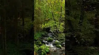 Relaxing Music With Cello, Piano & Guitar 💚