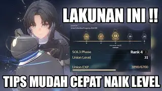 Tips Cara Cepat dan Benar Progress Ke End Game | Wuthering Waves
