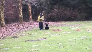 Korny trainen kringgroep Meersen
