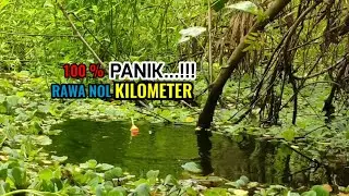 Panik...!!! Spot mancing di ujung rawa pedalaman ikannya gak karuan banyaknya