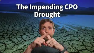 The Impending CPO Drought