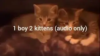 1 boy 2 kittens (audio only) this is from bilibili and its removed btw 