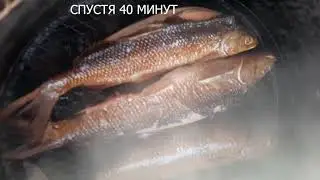 Горячее копчение рыбы . видео-обзор . #Рыбалка