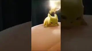 Pikachu pokemon pik