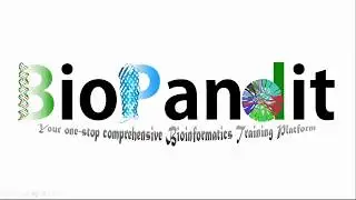 BioPandit now assists in your Projects and Programming