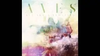 Aves - Shoreline