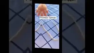 Размеры одежды