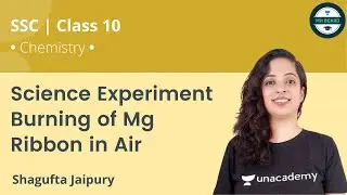 Science Experiment | Burning of Mg Ribbon in Air | SSC Class 10 | Chemistry | Shagufta Jaipury