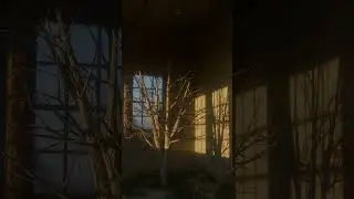real fake room/  