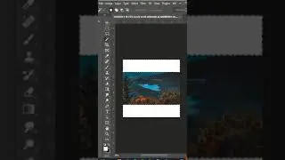 Expand your image with this trick & save this for later