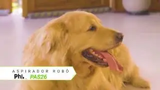 Aspirador Robô Philco PAS26P