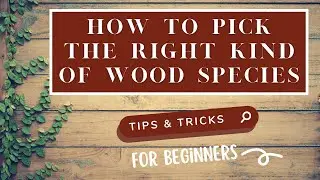 How to pick the right kind of wood species