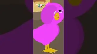 Feeding the chicks #shorts #stories #kidssongs
