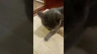вкусняя конфетька