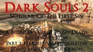 A Beginner's Guide To A No Death No Bonfire Run - Part 3 of Dark Souls 2 Scholar of the First Sin