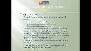 TXAR - TERNIUM ARGENTINA S.A. - 2T 2025