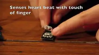 Arduino Heart Rate/Pulse Sensor