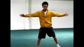 How to do an Aerial (No handed cartwheel tutorial)