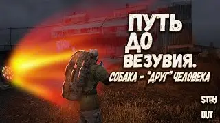 STAY OUT - КАК ПРОЙТИ НА ВЕЗУВИЙ! СОБАКА - 